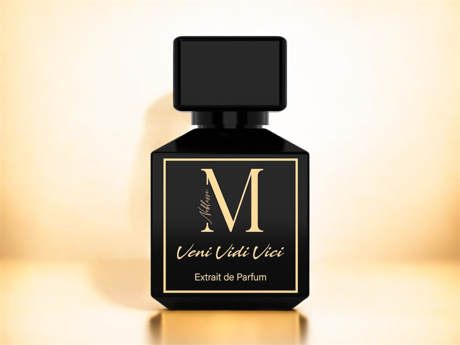 Maison Noblesse VENI VIDI VICI