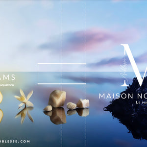Maison Noblesse DREAMS